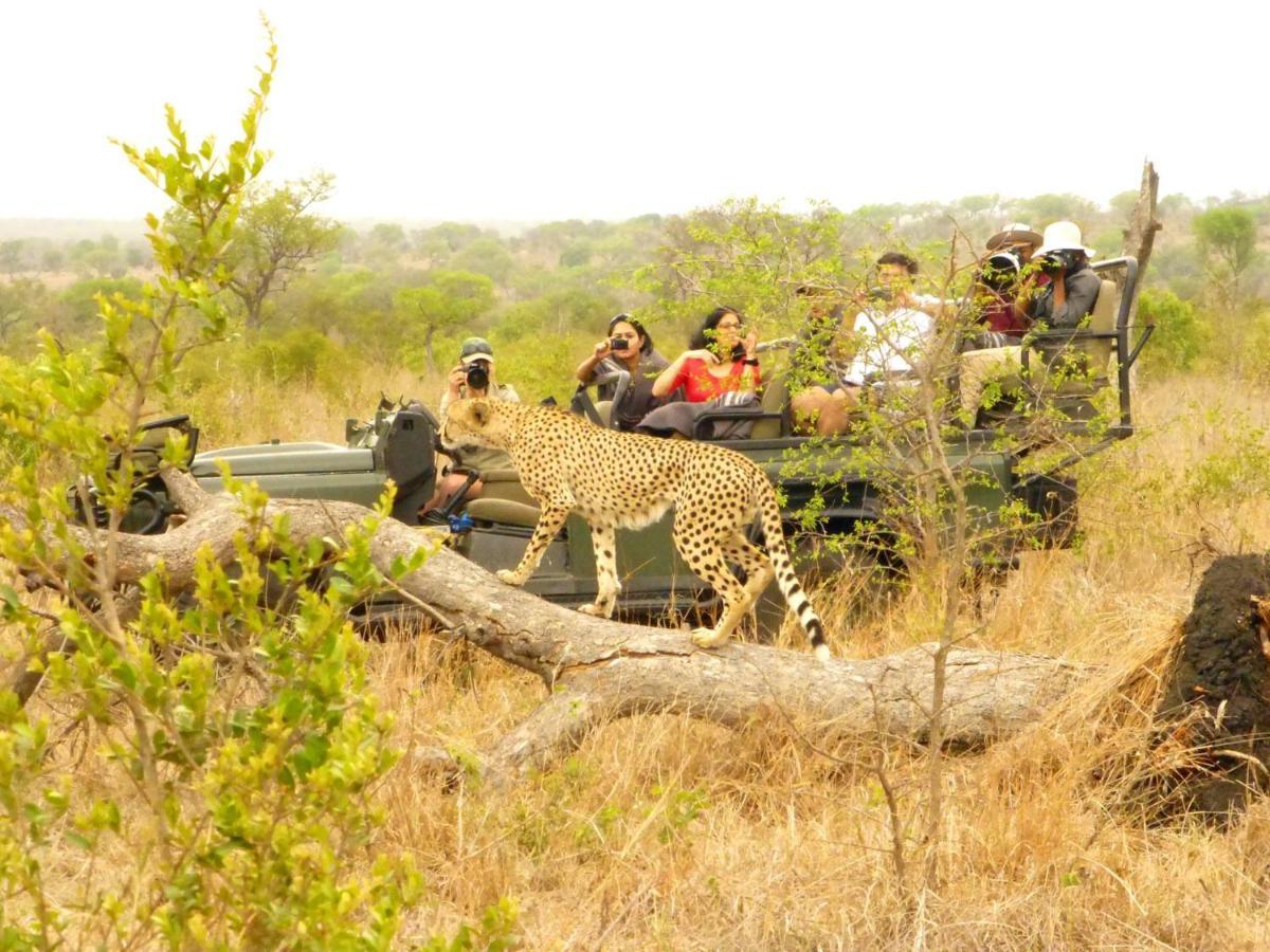 Umkumbe Safari Lodge Riverside Skukuza Luaran gambar