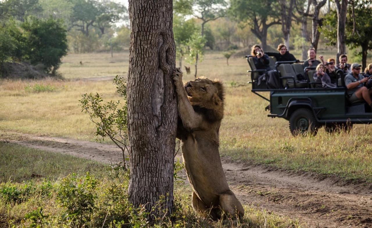 Umkumbe Safari Lodge Riverside Skukuza Luaran gambar